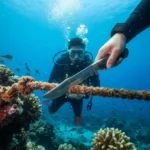 Cuchillo De Buceo Ares Profesional - Imagen 6