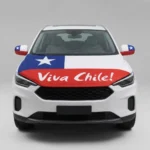Funda para Capó y Espejos Retrovisores Viva Chile - Imagen 2